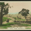 A wool team, Australia.
