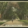 Oak Avenue, Newlands, C.P.
