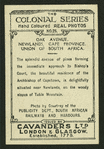 Oak Avenue, Newlands, C.P.