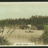 Breede River, C.P.