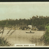 Breede River, C.P.