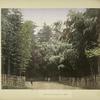 The Mikado's Garden, at Kioto