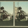 State elephants.