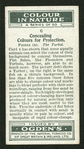 The turbot.