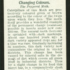 The peppered moth.