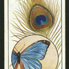 Peacock's feather and butterfly's wing.