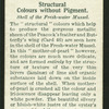 Shell of the fresh-water mussel.