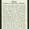 Deep-sea animals.