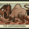 The camphantpard.