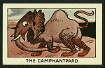 The camphantpard.