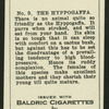The hyppogaffa.