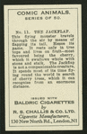 The jackflap.