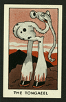 The tongaeel.