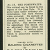 The fordswaine.
