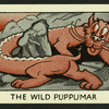 The wild puppumar.