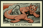 The wild puppumar.
