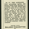 The alpolope.