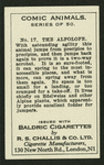 The alpolope.