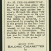 The grasshippon.