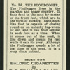 The plodbogger.