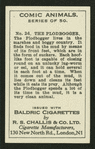 The plodbogger.