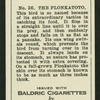 The plonkatoto.