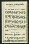 The plonkatoto.