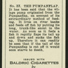 The pumpanflap.
