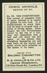 The porcuspiker.