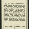 The allibazoo.