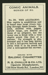 The allibazoo.