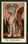 The tigeramil.