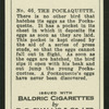 The pockaquette.