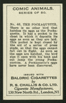 The pockaquette.