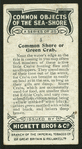 Common shore crab.