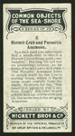 Hermit crab.