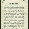 Cuttlefish.