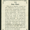 Sea mat.