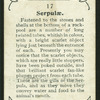 Serpulae.