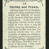 Shrimp, prawn.