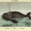 Les Poissons: le Hareng, la Morue, la Baleine.