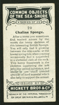 Chalina sponge.
