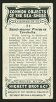 Sand-mason worm.