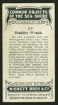 Bladder wrack.