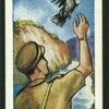 Carrier pigeons.