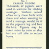 Carrier pigeons.