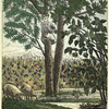 Les Fruits: l'Amandier, le Noyer, le Noisetier, le Bled.