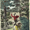 Les Fruits: la Vigne, le Cerisier, le Pommier, le Groseiller, l'Abricotier, le Pêcher.