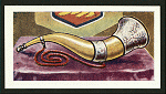 The ox-horn.