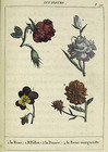 Index